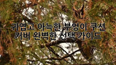 귀엽고 아늑한 부엉이 쿠션 커버: 완벽한 선택 가이드🦉