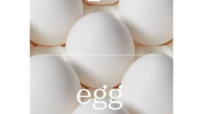 매거진F18 후기: 솔직한 사용 후기와 꿀팁 대방출! ✨